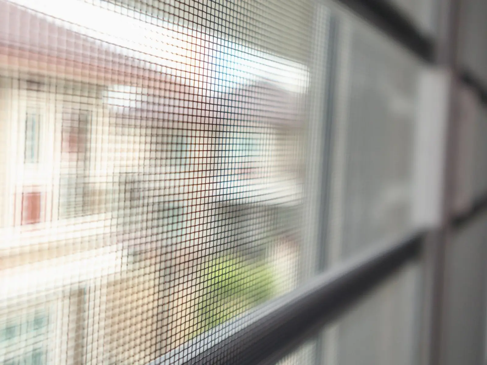 Insektenschutz von Glas Hautzinger