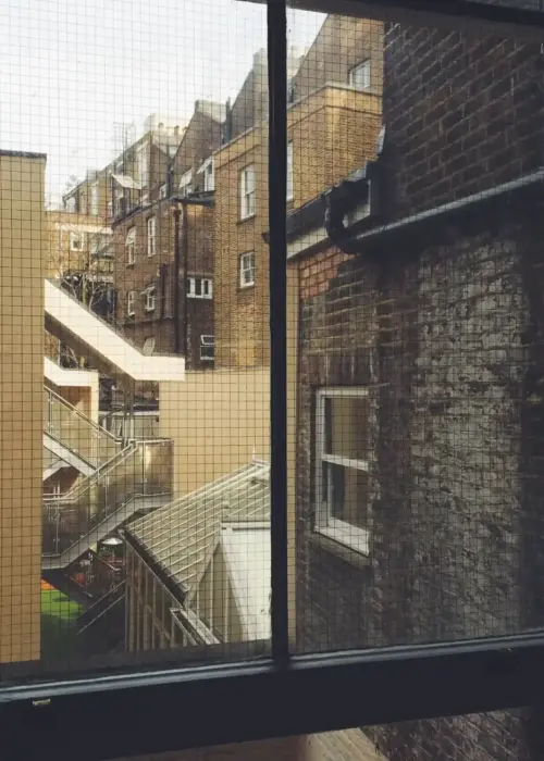 buildings seen through window ergebnis