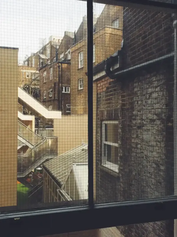 buildings seen through window ergebnis